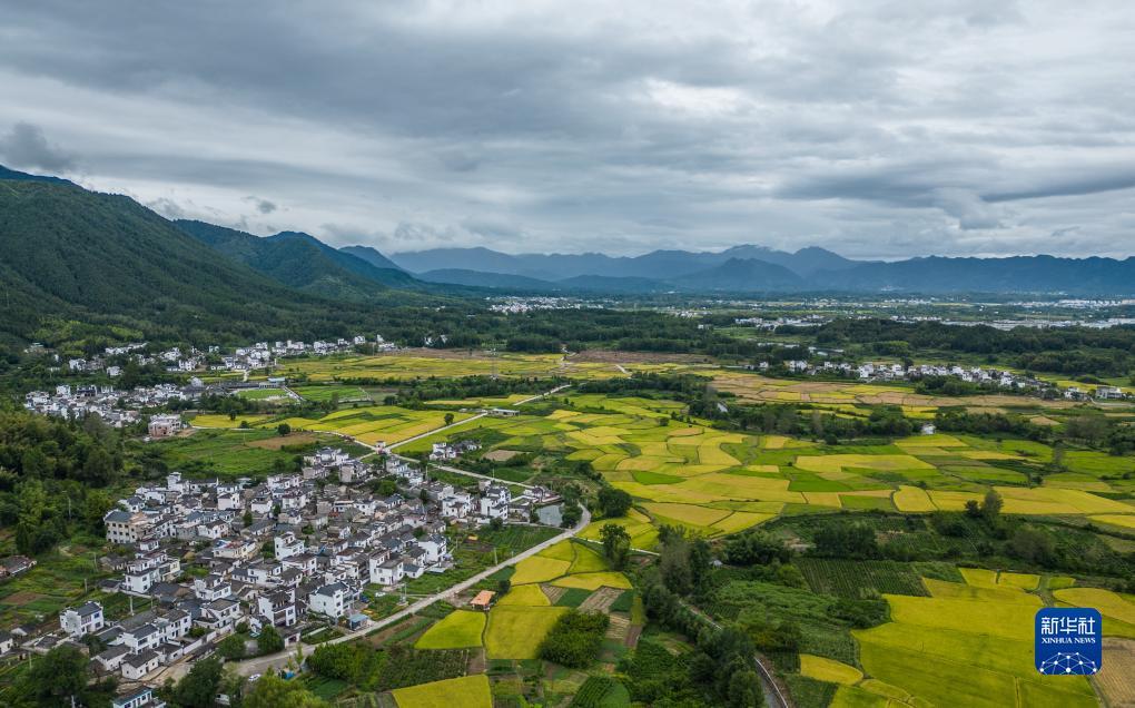 天马平台用户登录